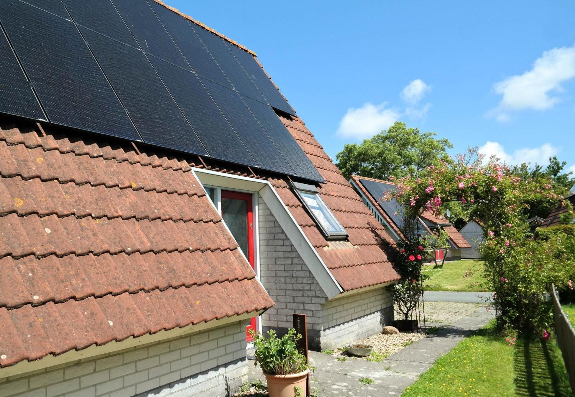 Urlaubsruhe 6 Pers Holiday Home W Terrace Close To National Park Lauwersmeer Anjum Zewnętrze zdjęcie